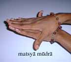 Matsya Mudra