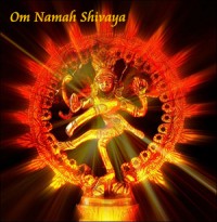 2014 Maha Shivaratri Celebration