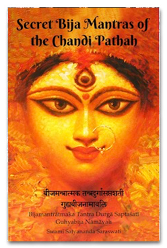 Secret Bija Mantra of Chandi Path Book Cover