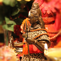 Sharing our Love for Shiva – The Shivaratri 2014 Photo Album