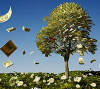 How to Create a Successful Spiritual Business and Shake the Money-Tree