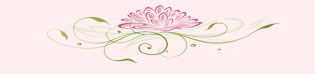 lotus-frame-2